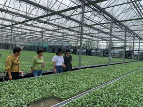 分享交流与实践,探索农业新发展