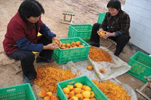 富平县洋阳柿饼专业合作 富平柿饼 洋阳柿饼 琼锅糖 粉条 富平特产 秦鲁绿色柿业开发公司 富平花椒产业合作社