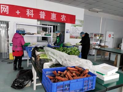 新鲜蔬果宅直送“妇”字号基地奋力保障市民菜篮子