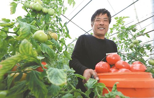 江淮竞放幸福花