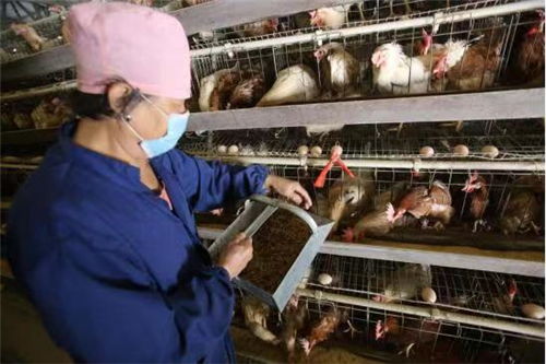 中国文明网 承德