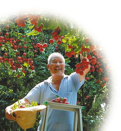 果树也玩 私人订制