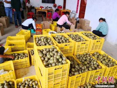 中南大学因地制宜产业扶贫"造血"富民