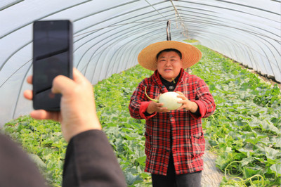郊野大地|从田头到镜头 “抖音”抖出农产品销售新天地