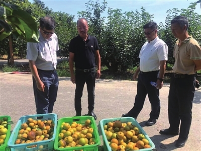 东方城乡报数字报刊平台-理赔正在进行,一笔笔赔款陆续送到农户手中