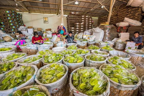 漳州电商帮扶 触 网 向前