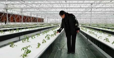 “问津”故地美,“星谷”绘新篇