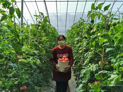 “聊·胜一筹”太霸气!区域品牌农产品闯市场年销量超百亿元