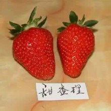 北京汇丰兴农果蔬产销专业合作社