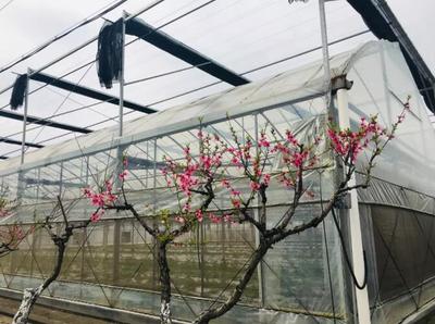 宝山这个“农场联盟”带你亲密接触大自然