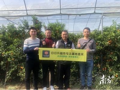 农超对接签订十年之约!三水助郁南平台镇沙糖桔挺进大湾区市场