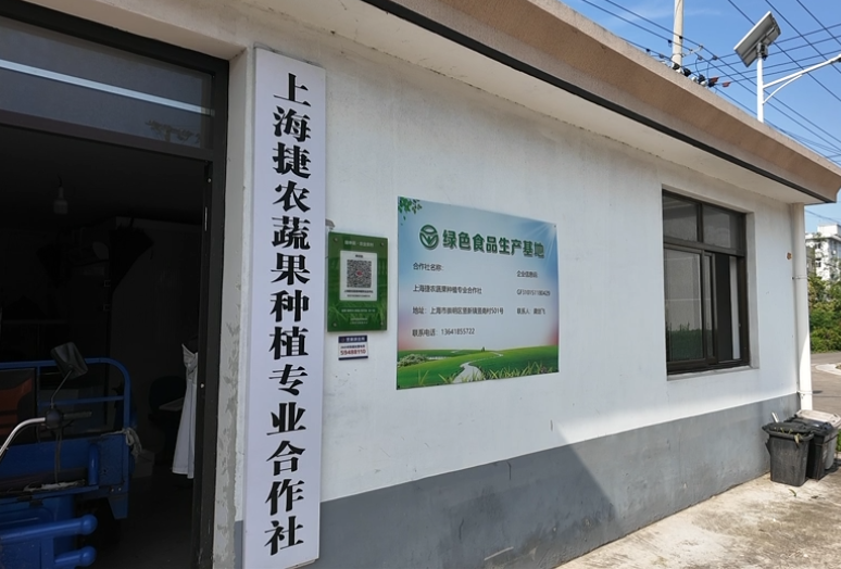 崇明芦穄“抢鲜”上市!