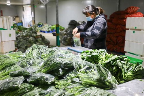 您的农产品 快递 即将送达,请注意查收