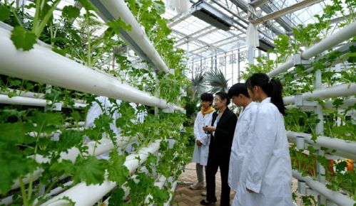 江陵首次 喜得工程建设 楚天杯 奖