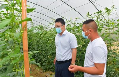 谢文华深入辖区调研蔬果专业合作社发展情况