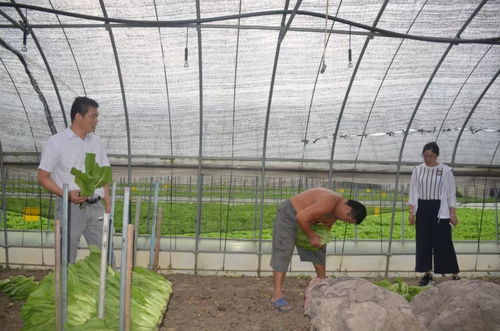 村官的走访路 让美丽乡村插上特色农业的翅膀