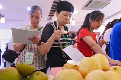 嘉定地产水果荣膺佳绩，优质产品免费回馈市民