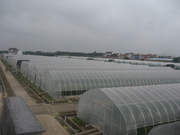 特色中国-区域市场上海