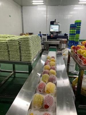 长势好、价格稳,春节期间青浦市民"菜篮子"丰盛实惠