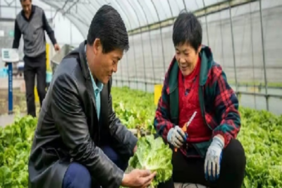 双创带头人丨上海春昌蔬果专业合作社副理事长赵世豪 引领蔬果产业创新之路