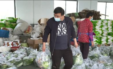 24小时不停歇，青浦蔬菜合作社全力保供蔬果