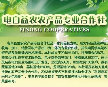 电白县益农农产品专业合作社 蔬果产业发展的新引擎